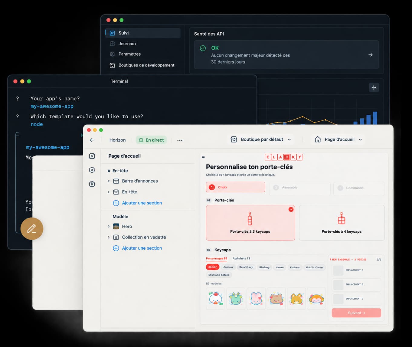 Shopify brochure ZB Dev